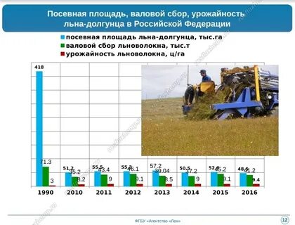 Валовая площадь