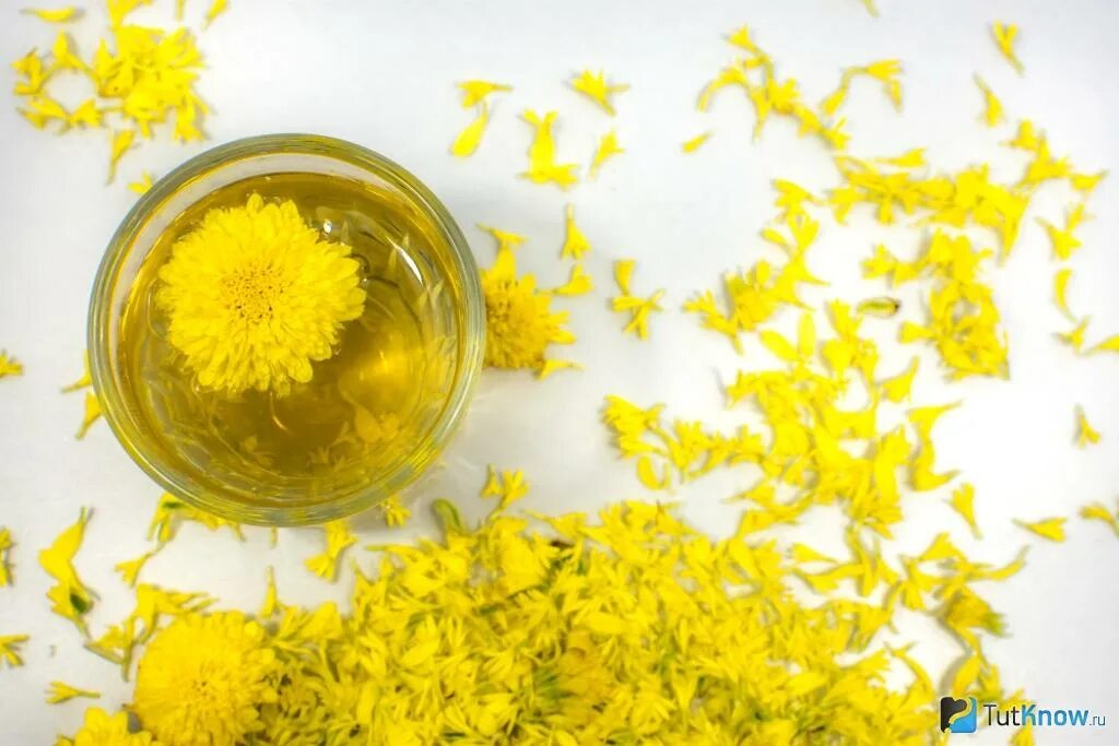 Хризантема польза. Хризантема польза. Хризантема царевна лебедь. Китайский чай с хризантемой. Чай хризантема китай.