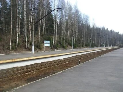 Пискаревка кавголово