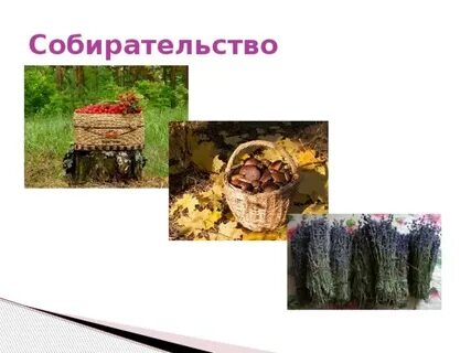 Собирательство это 5 класс