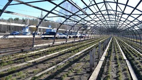 Тамбовская область ик зеленая