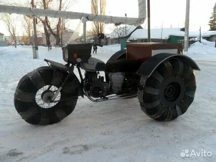 Каракат бу на авито
