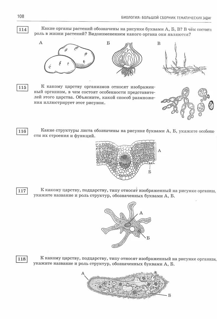 Задания с рисунком на ЕГЭ по биологии. 21284 ЕГЭ биология. ЕГЭ по биологии задания. Задания рисунки по биологии. Функции огэ биология