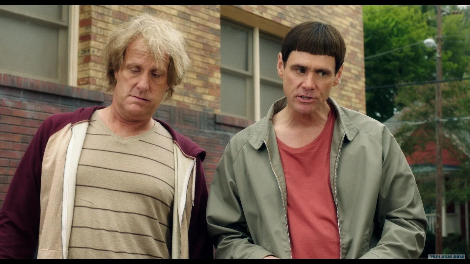 таких придурков даже бабы не ждут. высказывания про дебилов. тупой и ещё тупее 2. время придурков. Jackass mtv.