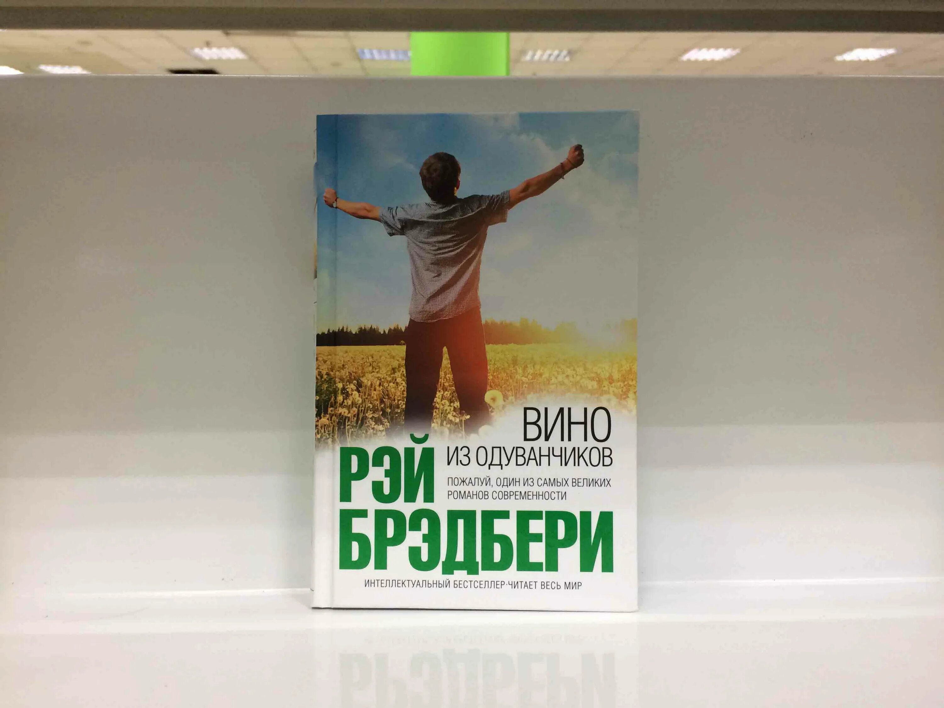 Слушать аудиокнигу брэдбери вино из одуванчиков. Вино из одуванчиков иллюстрации. Интеллектуальный бестселлер. Читает весь мир вино из одуванчиков.