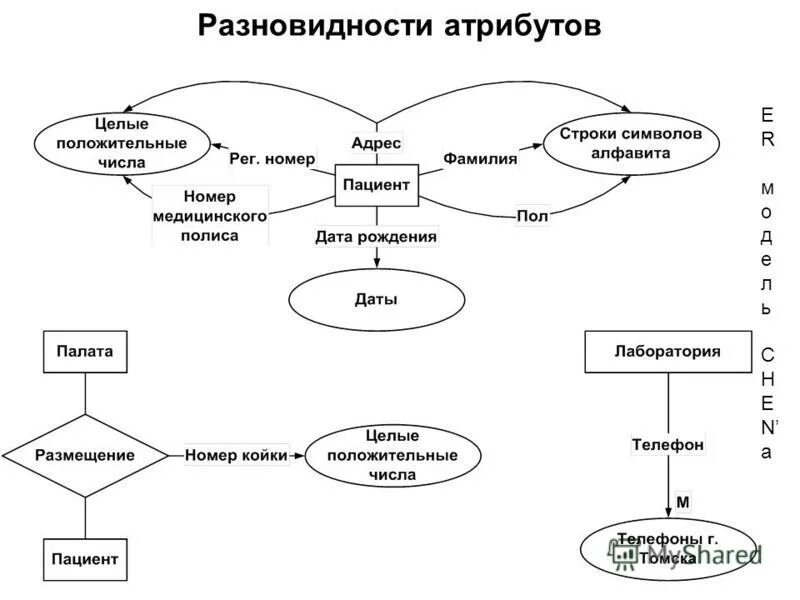 Семантический тип данных. Диаграмма бахмана. семантическая модель данных. диаграмма бахмана базы данных. семантические атрибуты это.