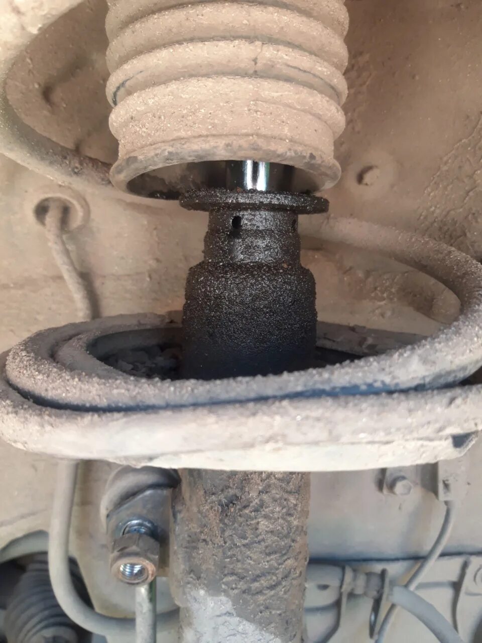 Амортизаторы тойота рав 4. Задние амортизаторы тойота рав 4 3 поколения. Задние амортизаторы тойота рав 4. Замена амортизаторов рав4 2000-2005. Амортизаторы тойота рав 4.