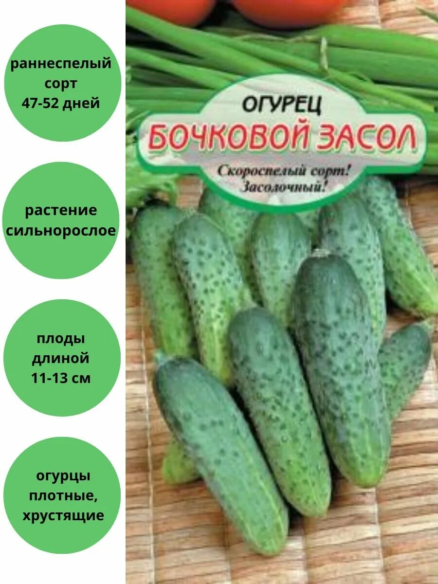 Огурцы сорт бочковой. Огурец бочковой. Эколь огурцы семена. Огурец надюша f1 гав. Огурец семенной бочковой.