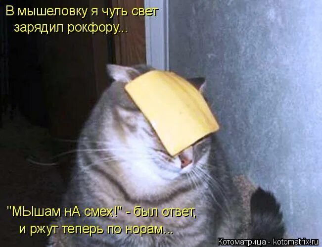 Смех без причины дурачина. Смех без причины признак дурачины поговорка. Смс приколы. Смешные анекдоты. Афоризмы о юморе и смехе.