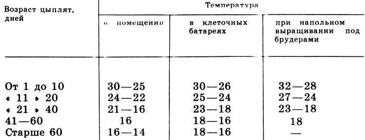 Температурный режим для цыплят бройлеров таблица. Таблица содержания бройлеров в брудере. Температурный режим выращивания цыплят. Температурный режим для цыплят несушек с первых дней.