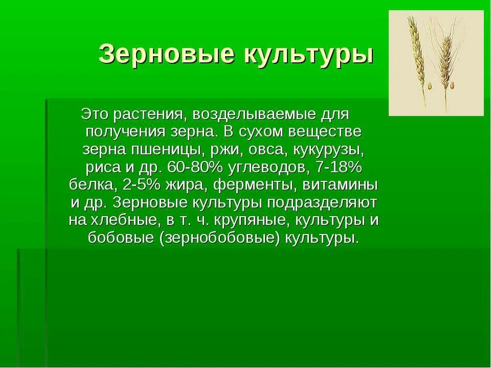 Книга о культурных растениях тема сообщения. Рассказ о культурном растении. Доклад о культурном растении. Многообразие культурных растений зерновые. Сообщение на тему культурные растения.