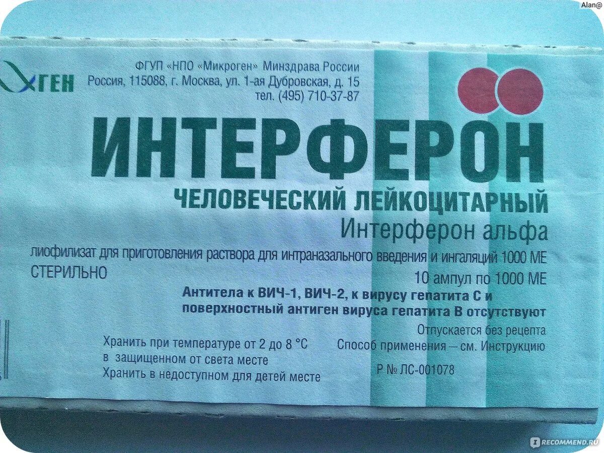 Интерферон применение инструкция по применению взрослым. Интерферон таблетки интерферон таблетки. препарат интерферон человеческий лейкоцитарный. интерферон человеческий лейкоцитарный (интерферон альфа) 1000 ме. интерферон альфа таблетки.