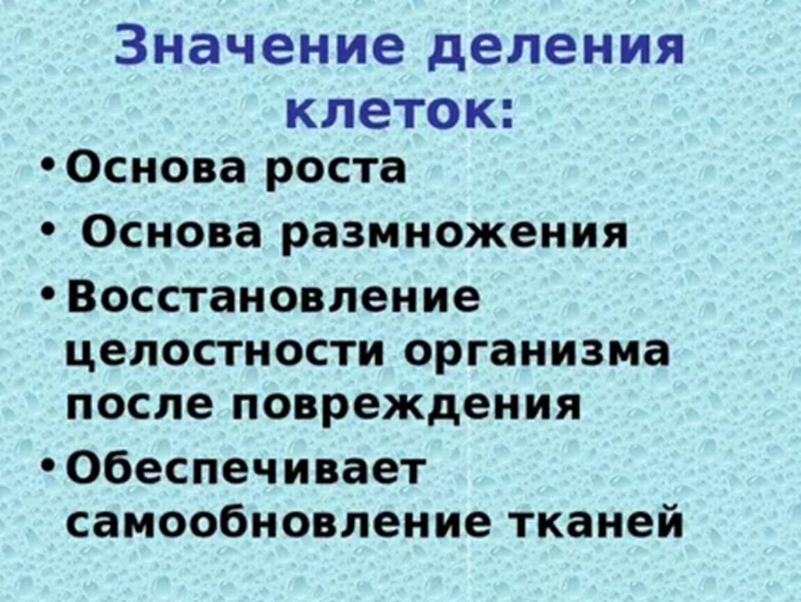 Значение деления клеток. Деление клетки значение процесса. Значение размножения клеток. Какое значение имеет деление клетки.