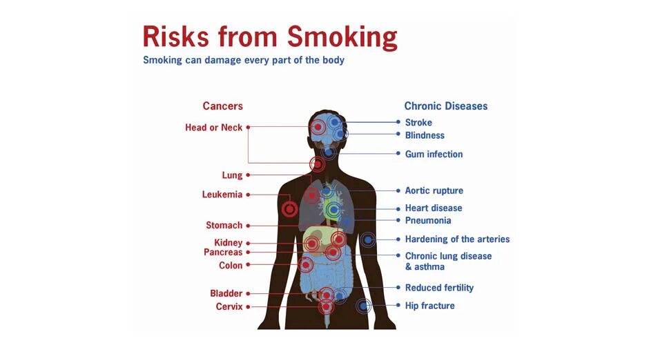 Health risks. Healthy risks of smoking. Smoking is harmful to Health.