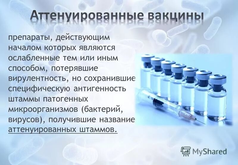 Вакцина содержит вирус. Аттенуированные вакцины. Живые вакцины. Живых вакцин из аттенуированных штаммов.. Живой коревой вакцины из аттенуированных штаммов.