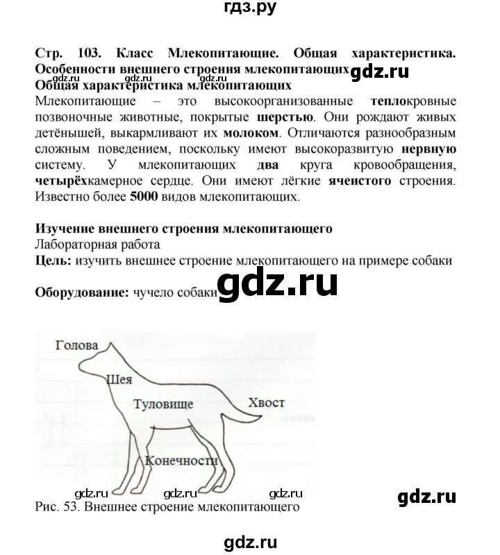 Практическая работа особенности строения млекопитающих