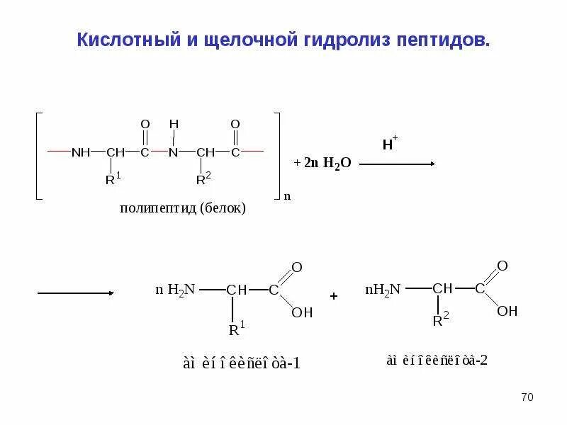 Щелочной гидролиз белков. Трипептид щелочной гидролиз. Кислотный и щелочной гидролиз дипептидов. Щелочной гидролиз дипептида реакция. Кислотный гидролиз пептидов реакция.