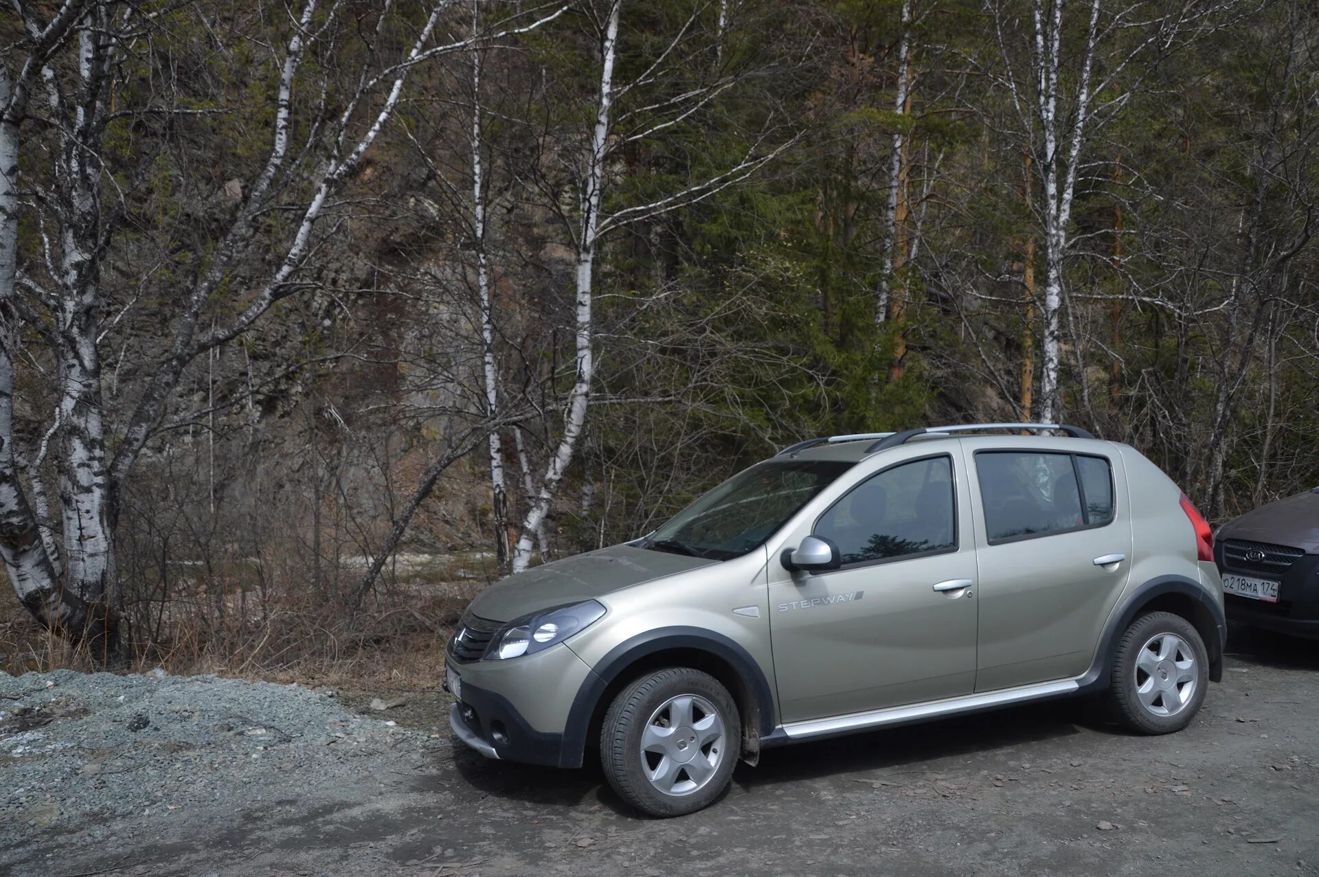 Рено новгородская область. Renault Sandero Stepway (1g). Рено Сандеро степвей 2012. Рено Сандеро 1 степвей твид. Рено Сандеро 1999.