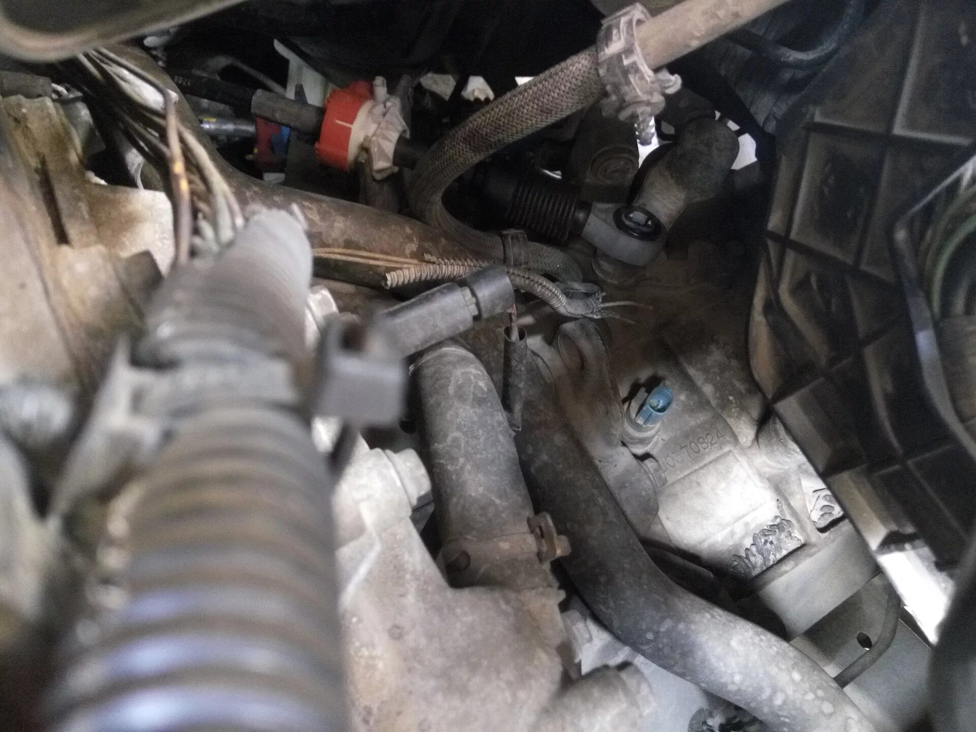 Chevrolet lacetti датчик заднего хода. 6. Датчик заднего хода лачетти 1. Датчик скорости акпп f4a22. Акпп датчик заднего хода.