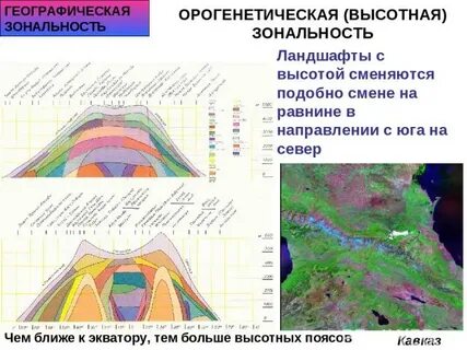 Проявление природной зональности примеры ландшафтов