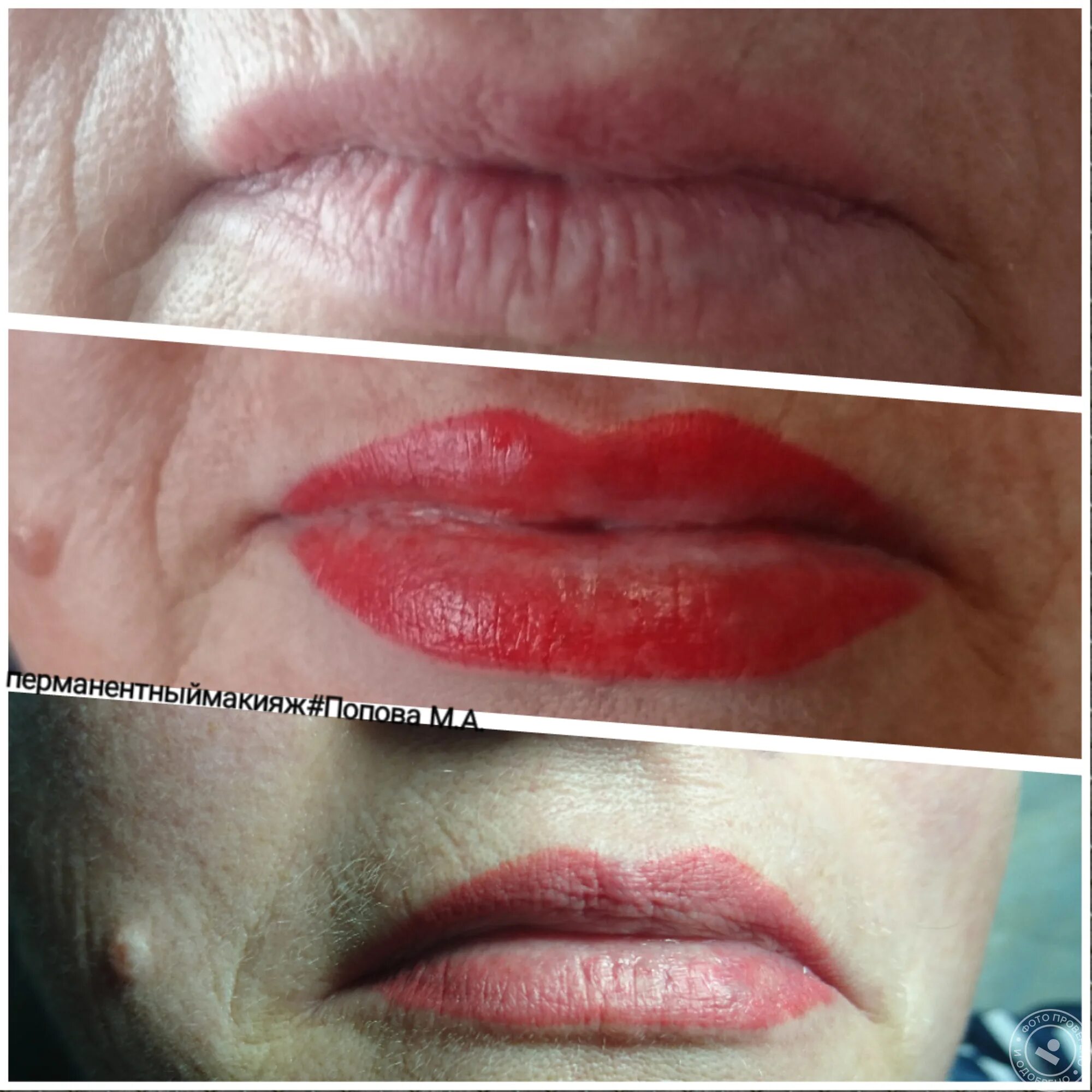 Перманентный макияж губ до и после. Заживший перманент губ. Татуаж губ естественный до и после заживления. Пм губ до и после заживления. Перманент губ до и после заживления.
