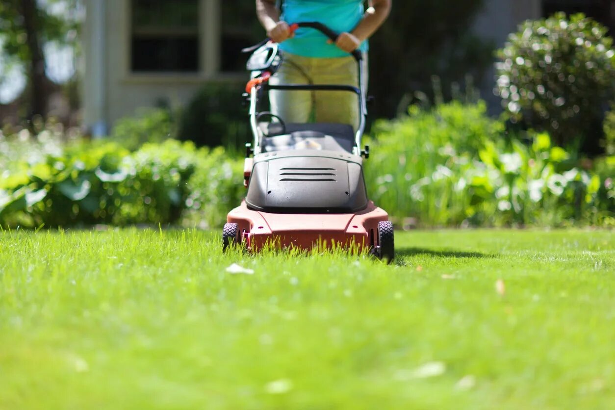 Lawn mower. Стрижка газона. Газонокосилка. Газонокосилка на траве. Газонокосилка электрическая.