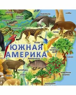 Животный мир материков 4 класс