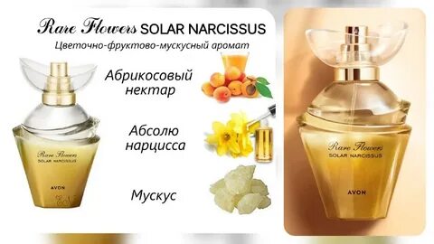 Rare flowers solar