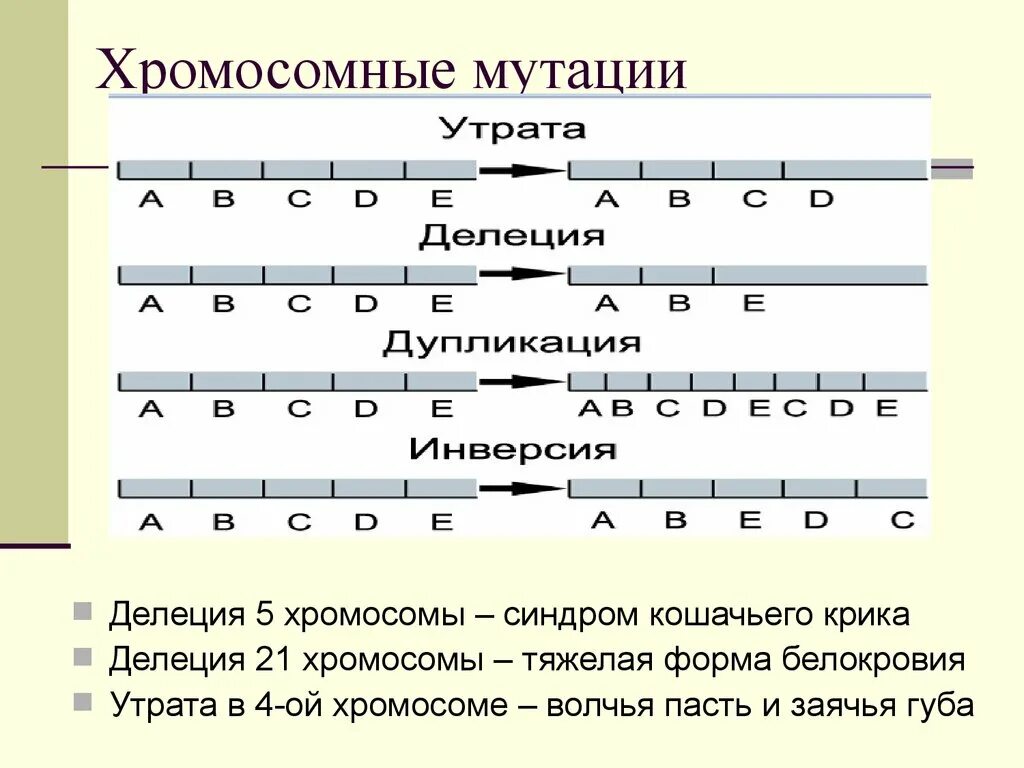 Потеря хромосом. Делеция участка хромосомы тип мутации. назовите 4 вида хромосомных мутаций. изохромосомныемутации. хро¬мо¬сом¬ные му¬та¬ции.