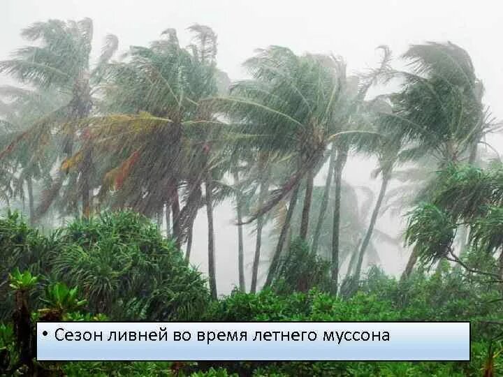 Море муссонов. Муссоны в Индии. Тропический ливень в тропиках. Хайнань дождь. Климат Индонезии.