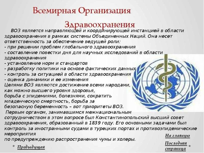 Организация здравоохранения доклад