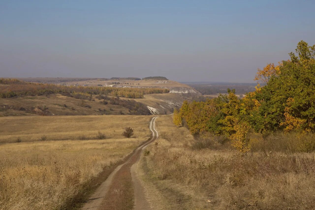 Село Монастырщина Богучарского района Воронежской области. Рыжкина балка Богучарский район. Старотолучеево Богучарский район. Дон с Красногоровка Воронежская область. Погода монастырщина воронежской области