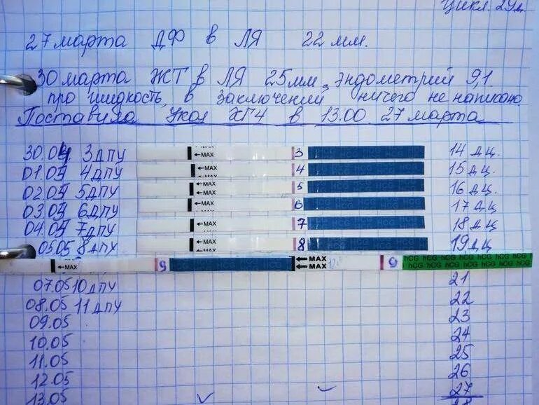 Тесты после укола ХГЧ 5000. Тест на беременность после укола ХГЧ. Тест на беременность после укола ХГЧ 5000. ХГЧ после укола ХГЧ 5000.