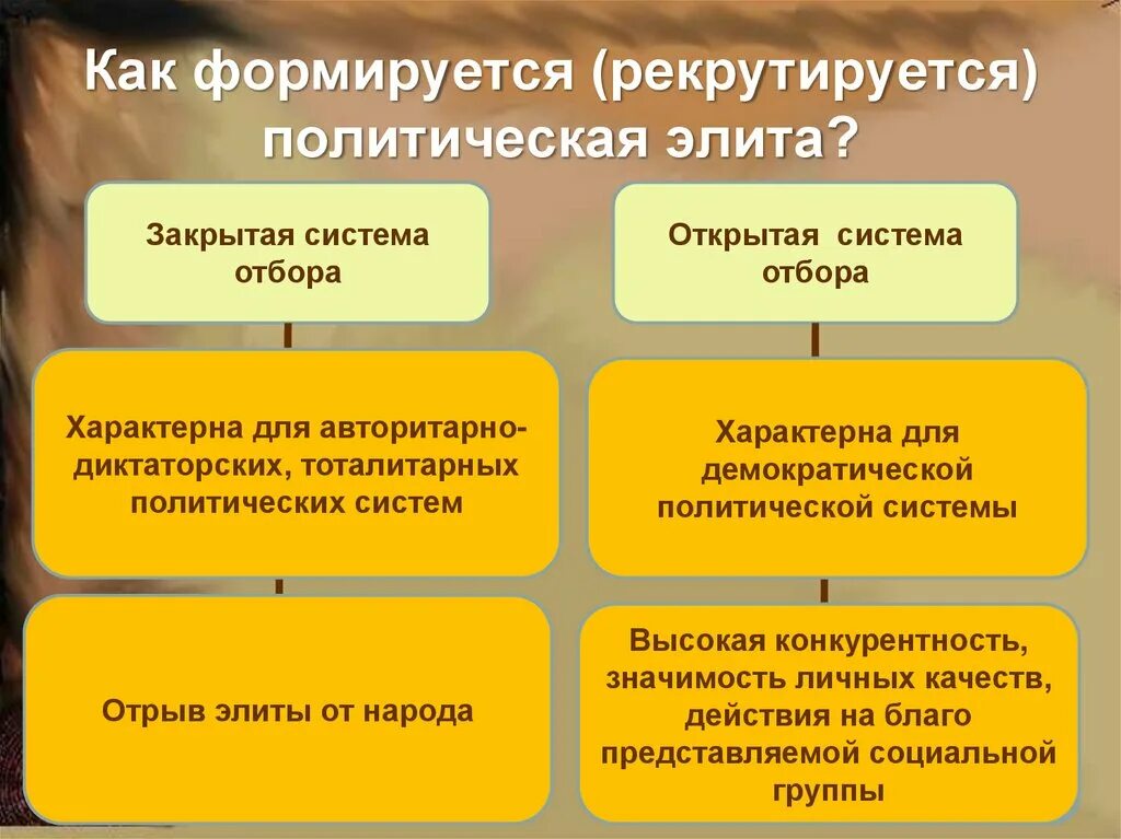 Назовите трех представителей политической элиты. Политическая элита. Закрытая и открытая система отбора политической элиты. Как формируется политическая элита. Закрытая система отбора политической элиты.