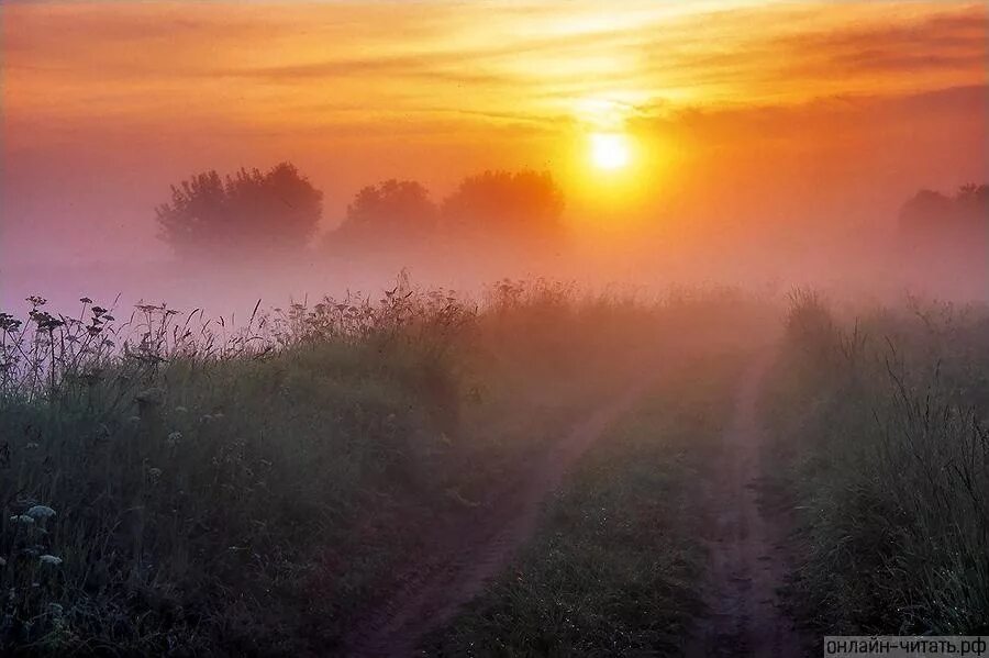 Заря прощается с землею Фет. Утренний рассвет. Туманное утро. Ранний рассвет. Стих вечер ясен и тих