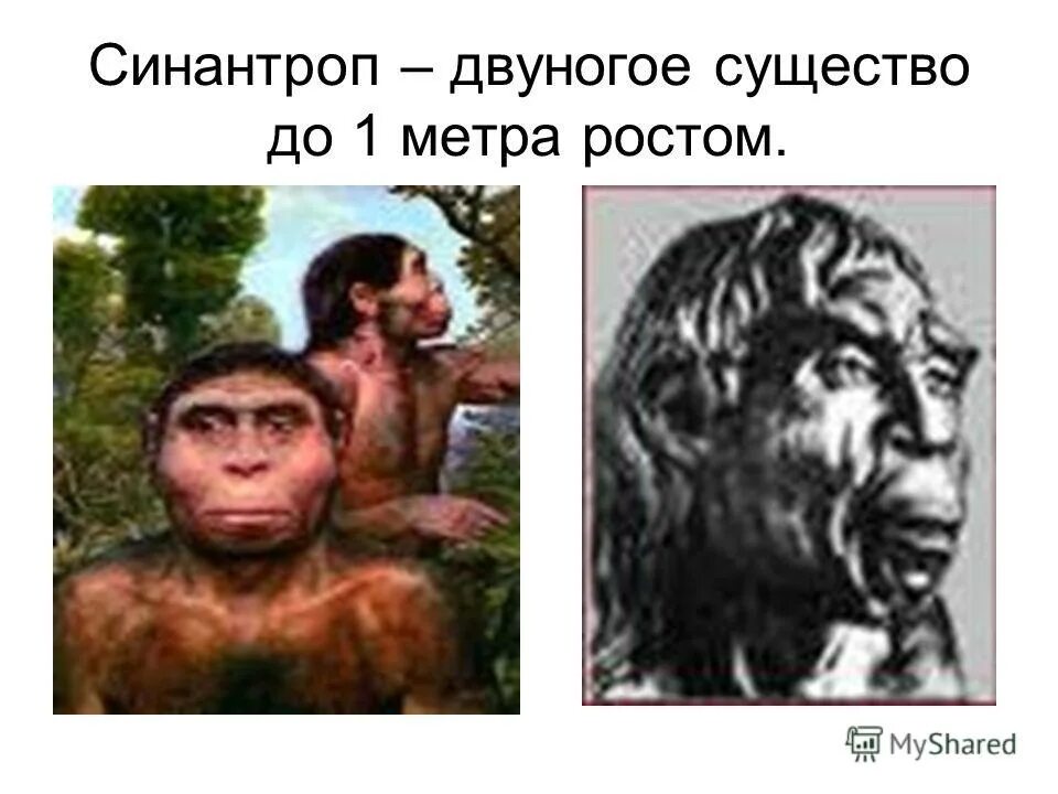 двуногое существо. двуногое существо. мифические чудовища. двуногое существо. волосатый инопланетянин.