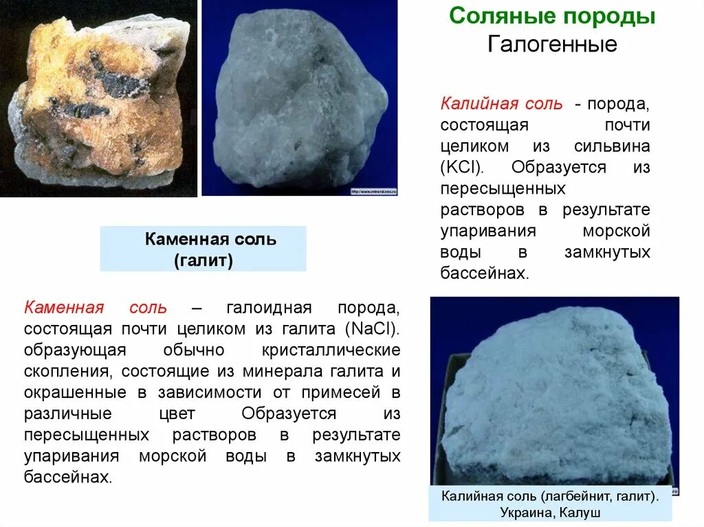 Каменная соль использование человеком. Минеральный состав каменной соли. Каменная соль порода. Каменная соль это минерал или Горная порода. Основное свойство каменной соли.