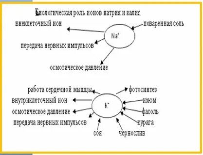 Ионы организма