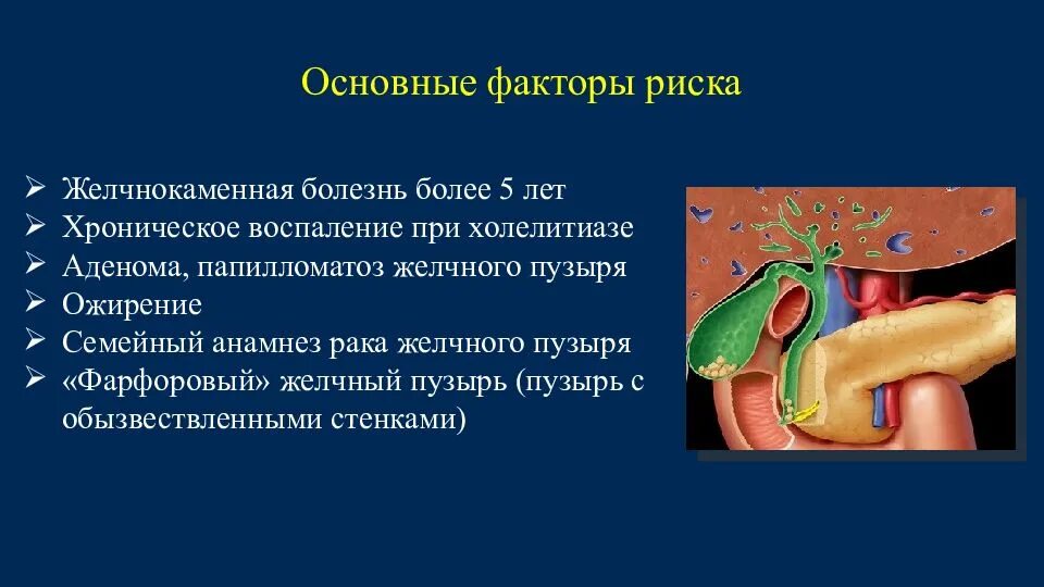 Чем обезболить желчный пузырь. Симптомы болезни желчного пузыря. Желчный пузырь желчнокаменная болезнь. Основные симптомы при заболеваниях желчного пузыря. Факторы риска заболевания ЖКБ.