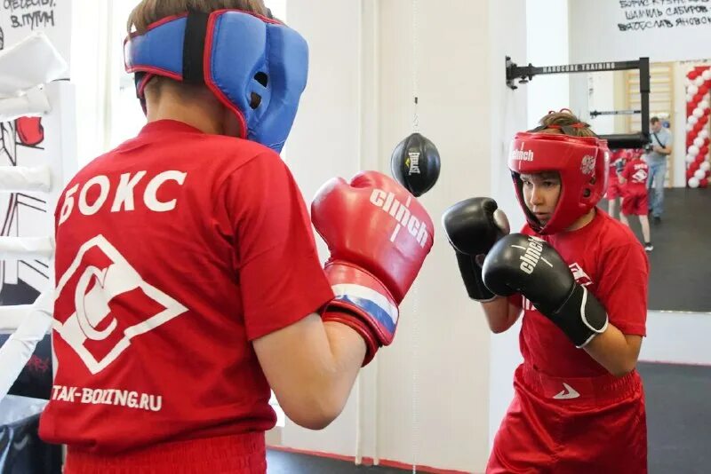 бокс люберцы. турнир капитонова в люберцах. бокс люберцы. бокс в москве. боксер из тамазатюбе.