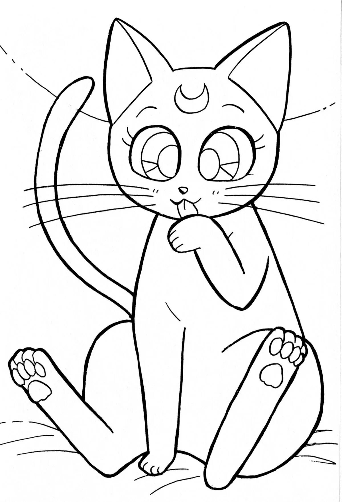 Кошки. Раскраска. Раскраска кот. Кошечка для рисования. Котенок. Раскраска. Рисунок кис
