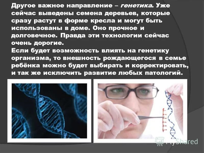 медицинская генетика. генотип человека. а окрасы собак. генегенетика человека. генетика тела.