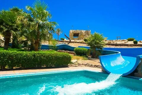 Sharm dreams resort шарм эль шейх отзывы