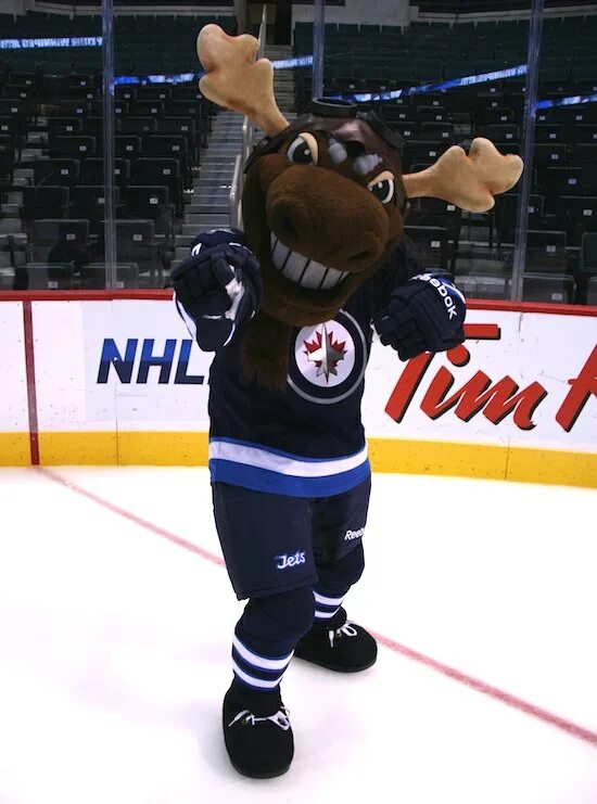 маскот миннесота уайлд. хоккей маскот нхл. талисманы клубов нхл. квиз маскот. маскоты нба.