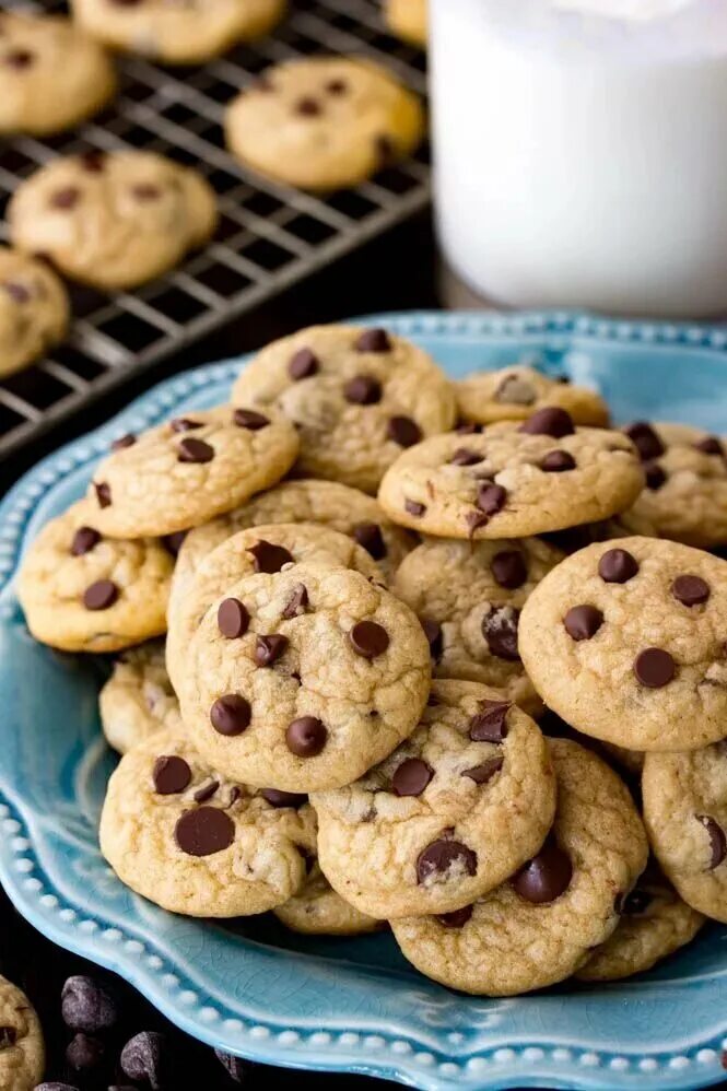 Печенье cookies с шоколадом. Американское печенье кукис. Печенье с шоколадной крошкой. Песочное печенье с шоколадной крошкой. Печеньки с шмкаладнай крошкай.