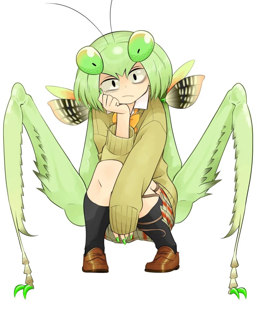 Богомол Monster girl Insectoid. Мантис богомол-тян. Monster girl Мантис.