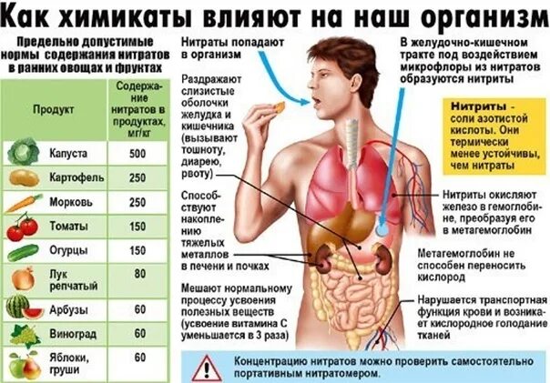 Какой вред организму может нанести прием. Влияние пестицидов на человека. Как пестициды влияют на организм человека. Болезни от пестицидов. Влияние ядохимикатов на организм человека.