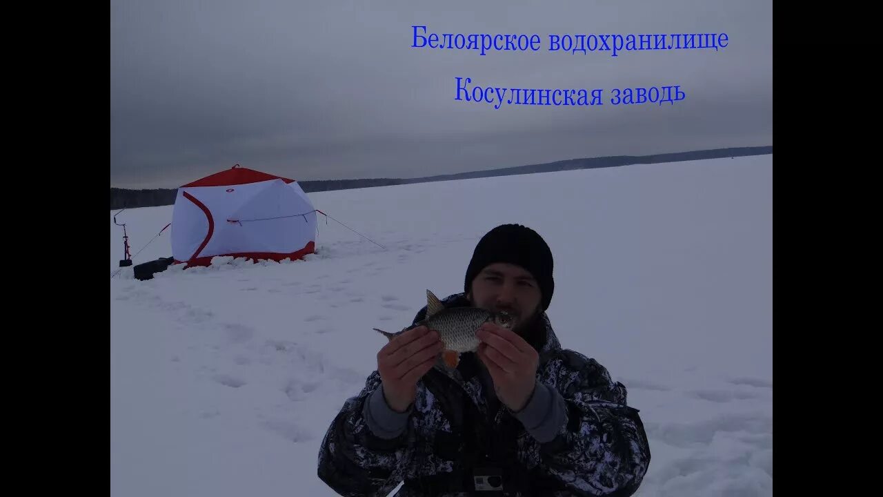 Рыбалка на белоярском водохранилище в контакте. 1 Заводь Белоярское водохранилище. Белоярское водохранилище 3 заводь. Белоярское водохранилище рыбалка заводь 3. Косулинская заводь Белоярского водохранилища.