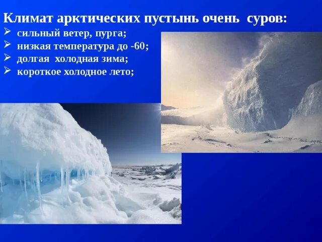 Климат арктических пустынь. Арктические пустыни климат. Арктическая пустыня климат. Климат Полярных пустынь.