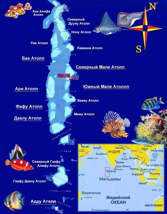 Какие острова расположены в индийском океане. Карта атоллов Мальдивских островов. Где находятся Мальдивы в какой стране на карте.